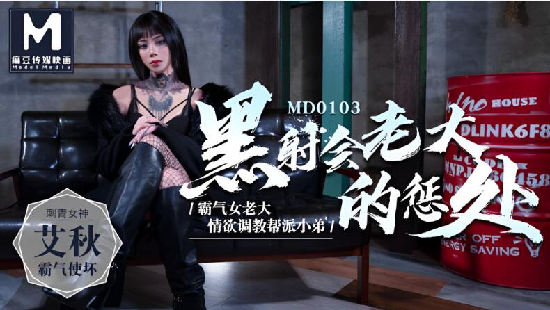 SAWQ-863 黑社會女老大的懲處-艾秋MD0103
